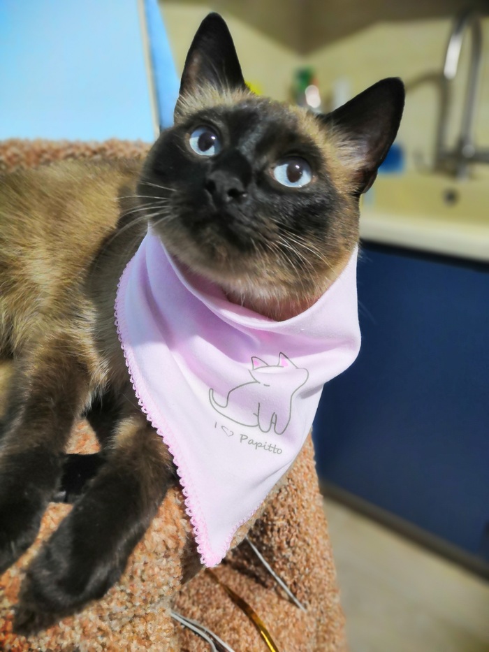 ������� ����