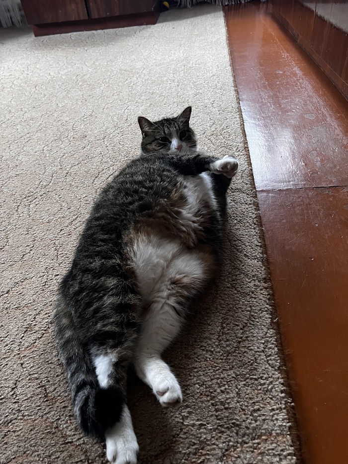 ����� � ����� ���� ������ � ����� � ������