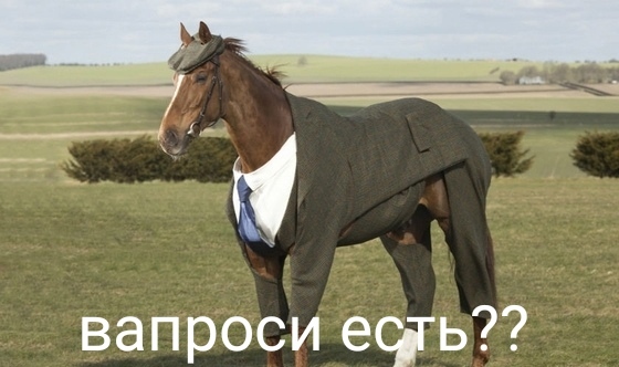 Конь Томаса