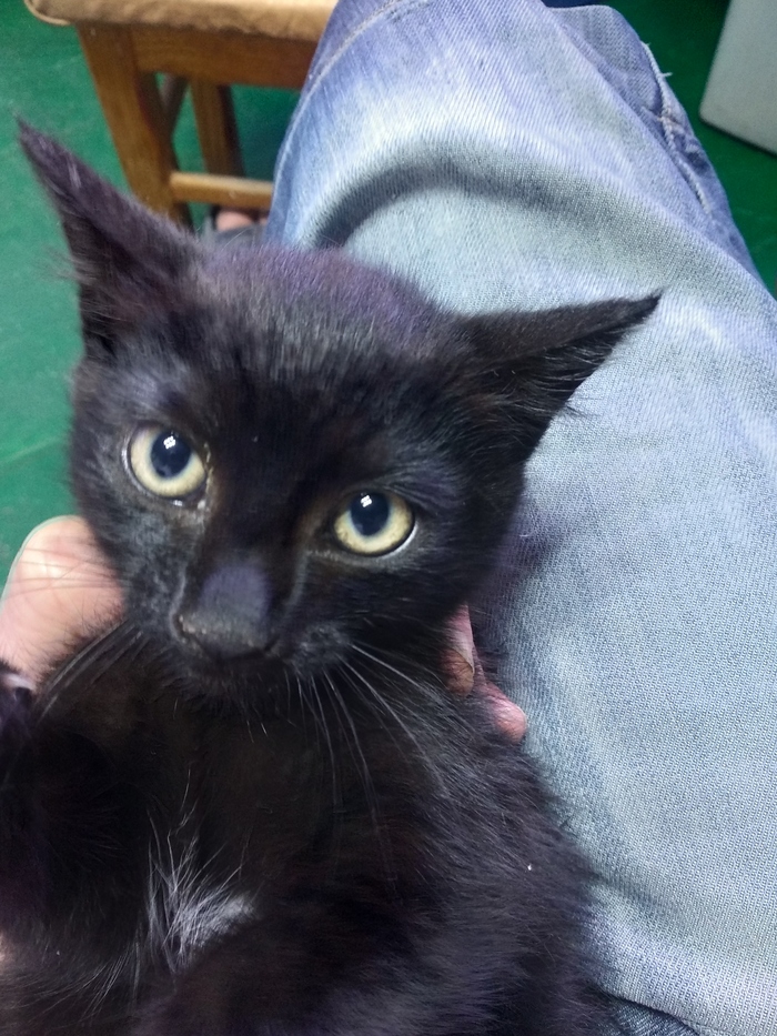 Бунд так Бунд!