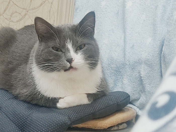 � � ���� �������)