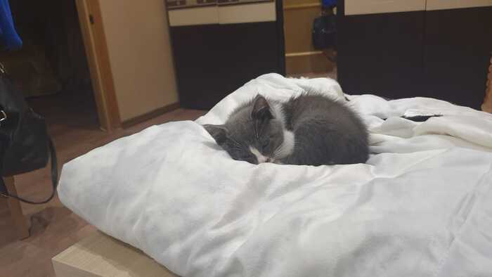 ������� ��� ����� ������� ������