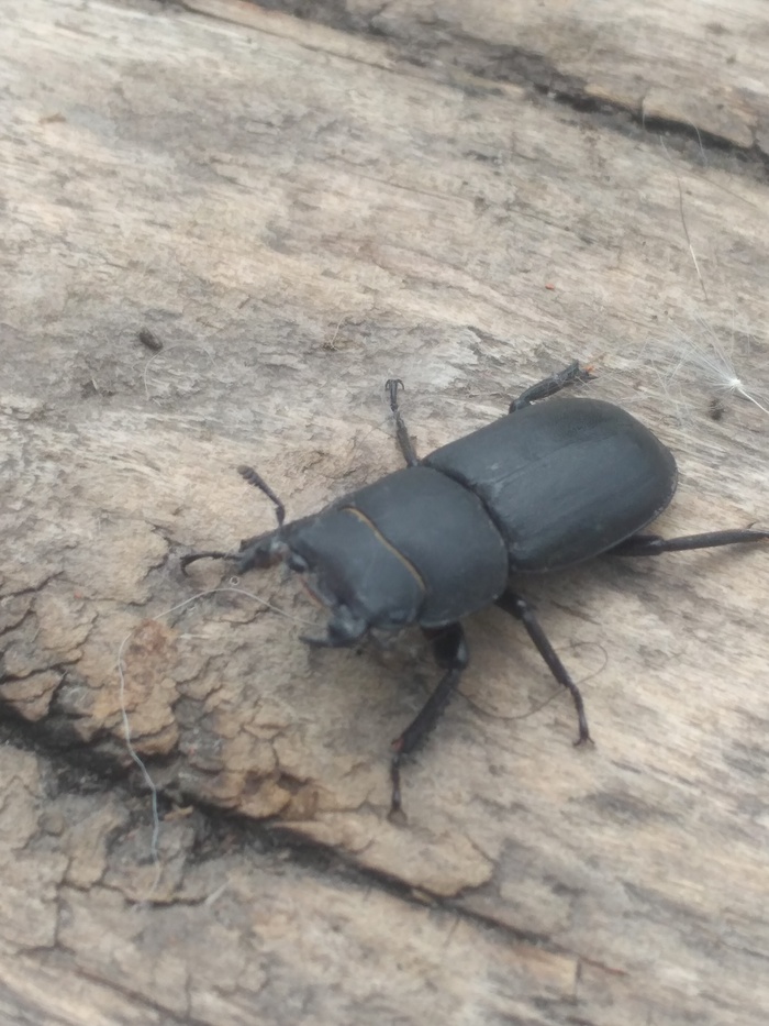 !!!  !    !   -.  , ,    