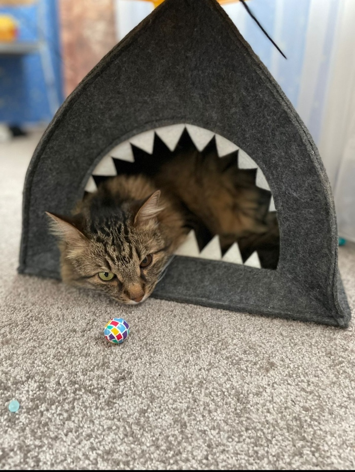 Бунт достал