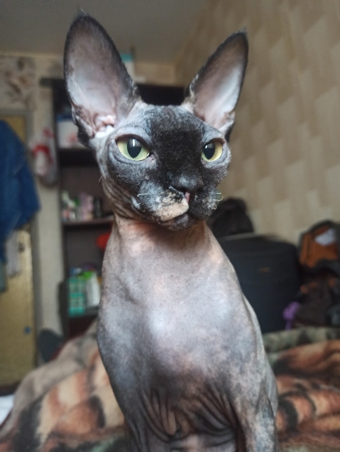 � ���� , ������!