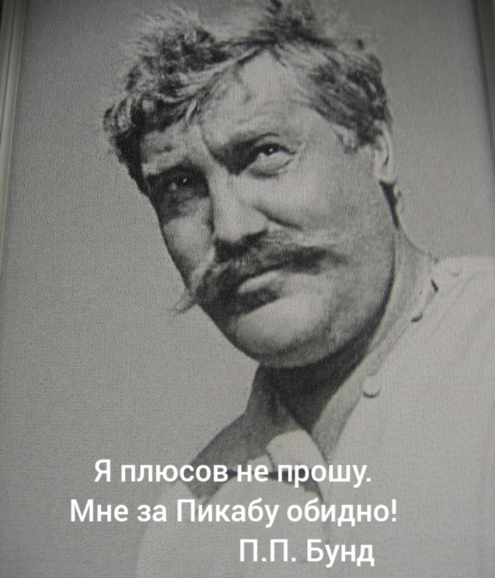 Мне за Пикабу обидно!