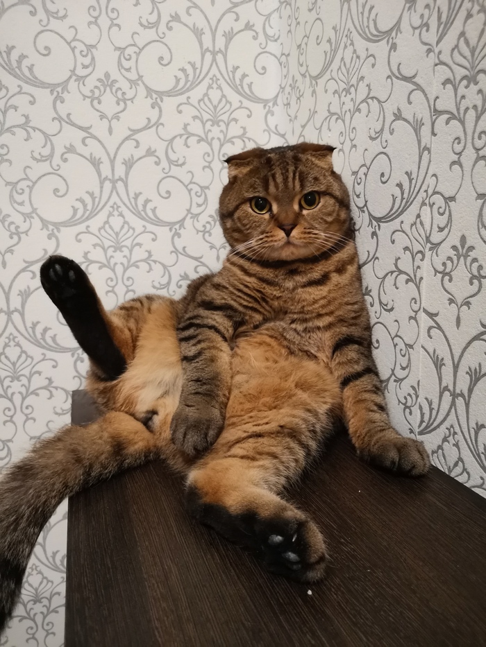 ,   , , , 