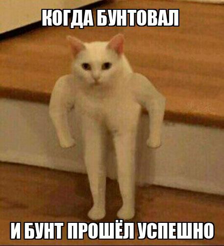 ��� ����������� � ��������� �����