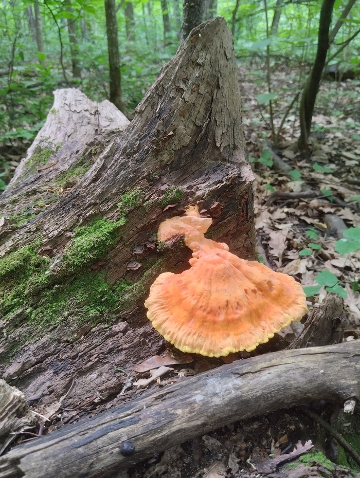 Ну где тут ачивки и бунды?