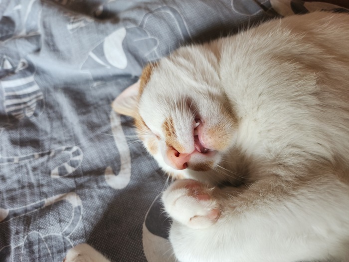 �������� �������� )