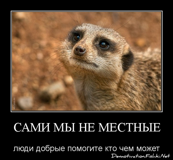 ��� ����� ����� "������"