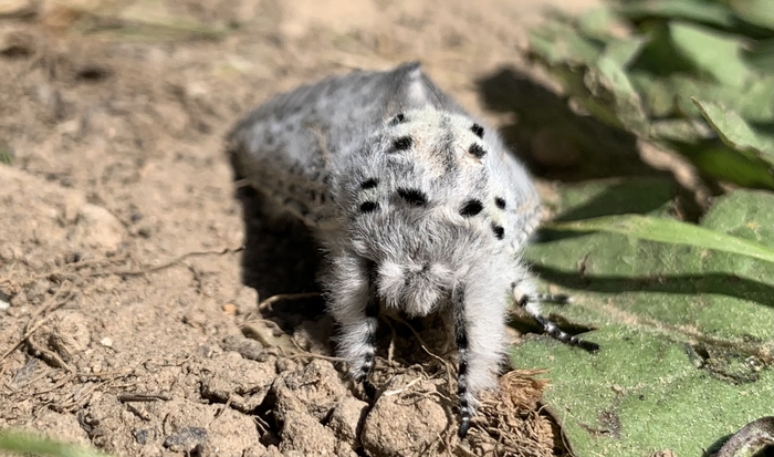 ������, �������, ������