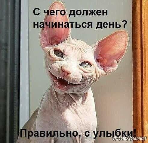 ! !