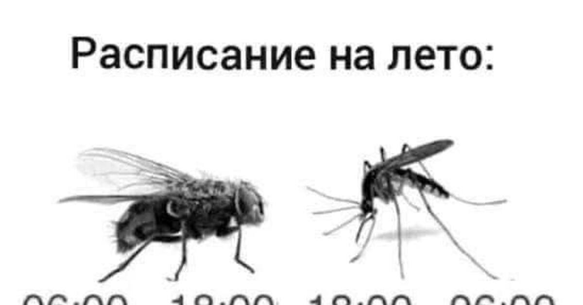 Мемы | Пикабу