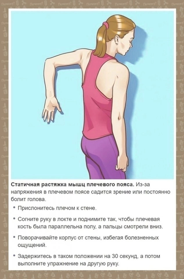 Растяжка различных мышц | Пикабу