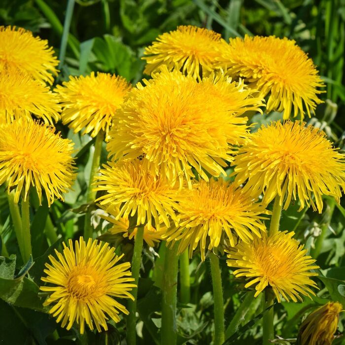 ������������� � �����������