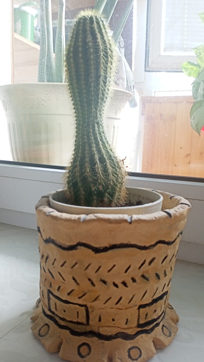 � ���� ������ �����!������� ������