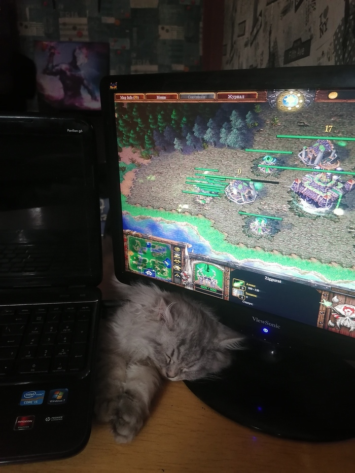       Warcraft, , 