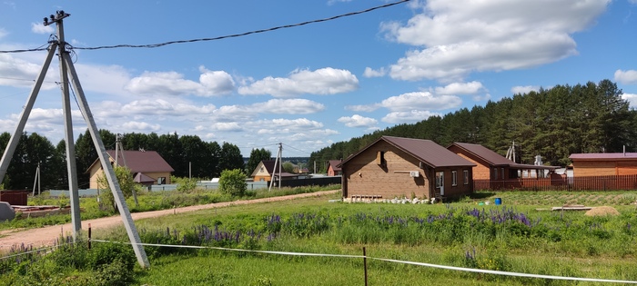 Летний бунт