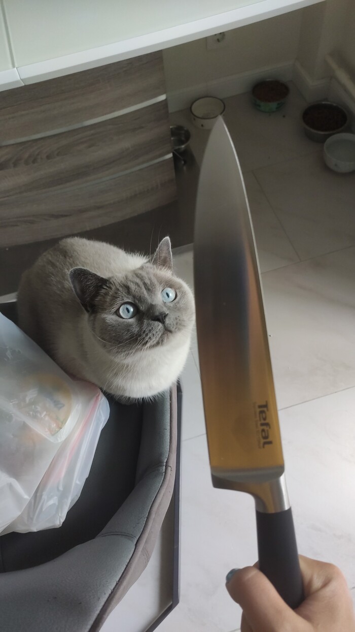 ����� ������������ ����