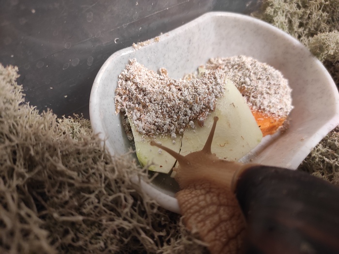 ��� �� ��� ����, �������� ���� ����� ��������