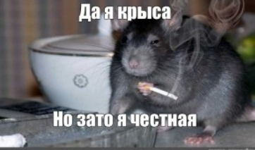 ����� ��� ��� ������ �������� ������ ��� ������� �� ������