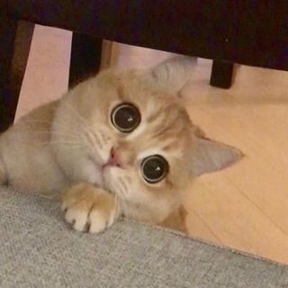 Всем плюсов и я накидаю Бунт