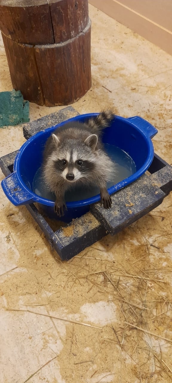 ����-����