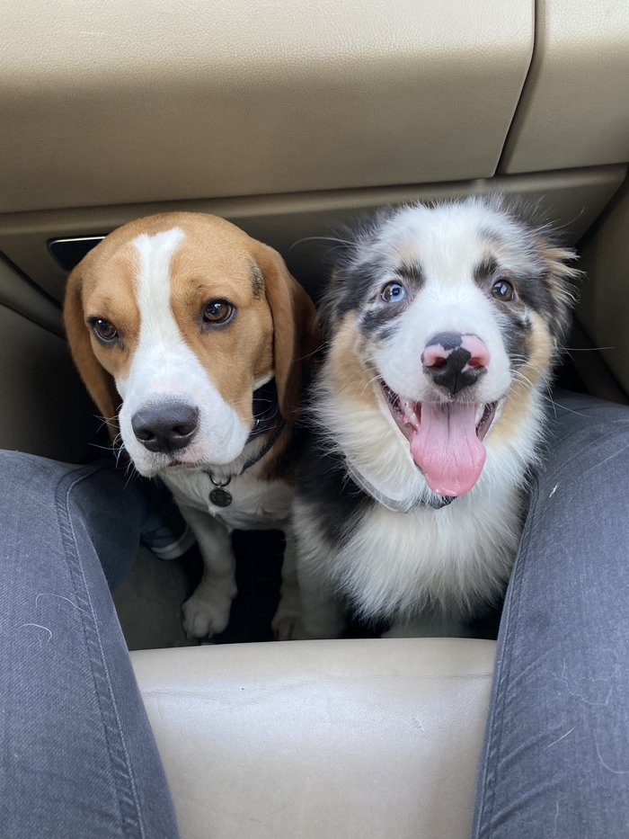 ���� ������� ������� ��������)