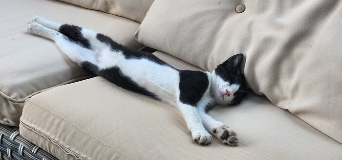 ������ �����