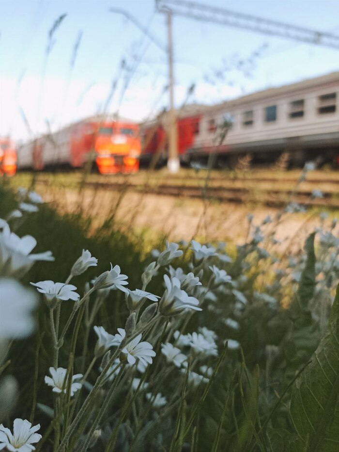 Дневник машиниста: выпуск 1 | Пикабу