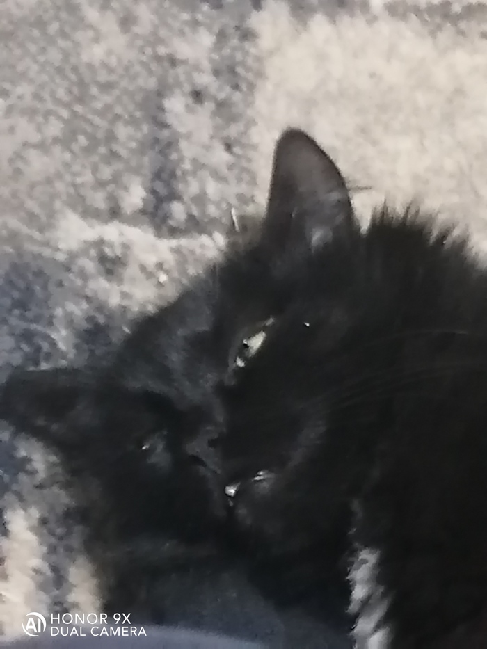 ������ �� � ���