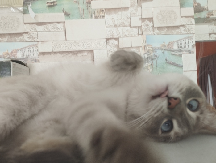 ��� ������� ��������� �� ������ �� ������)))))