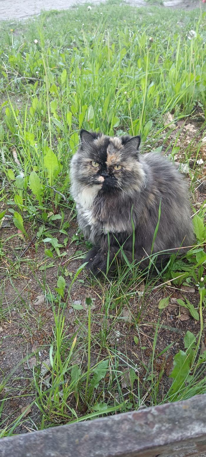 � ��� ����, � ���� ���!