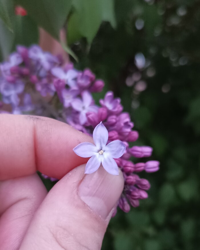 Бунт | Пикабу
