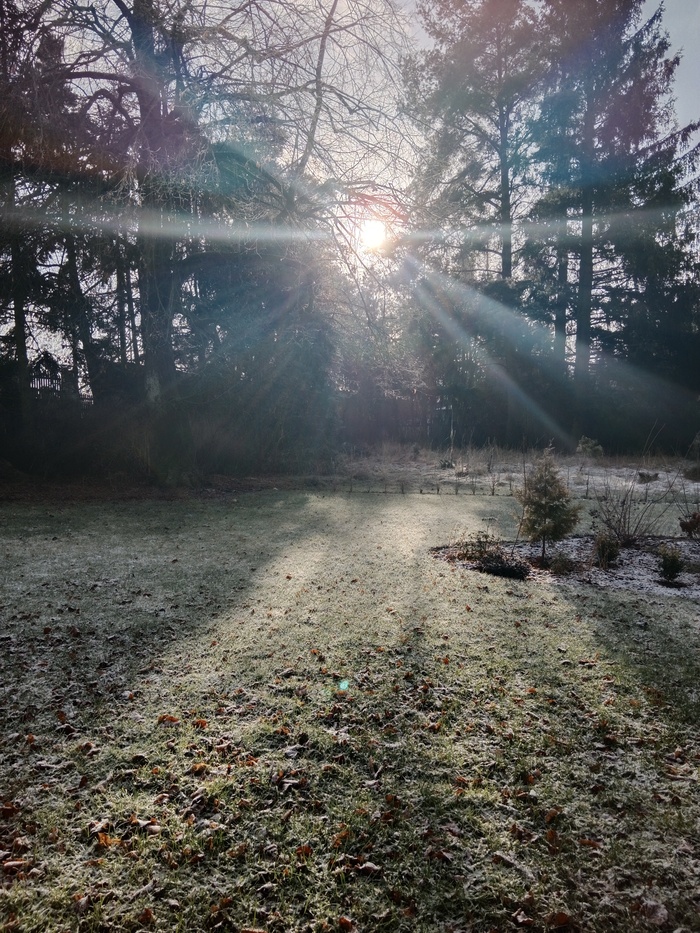 ��������� ���� �� ������ ������ ���������