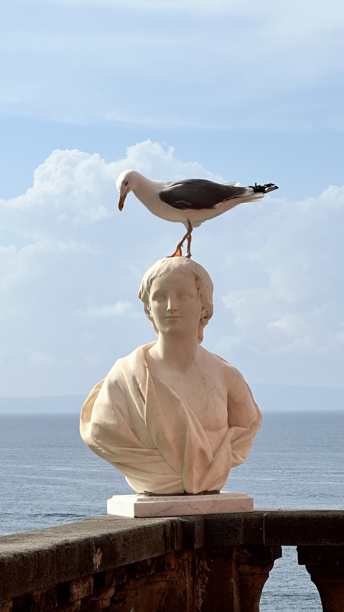     , , , 