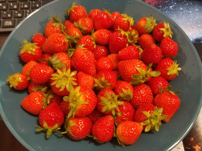 Ужин и бунт