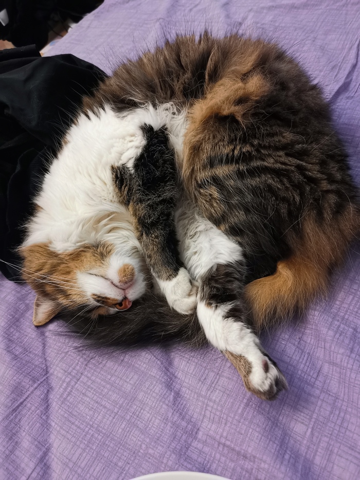 ��� ��������?