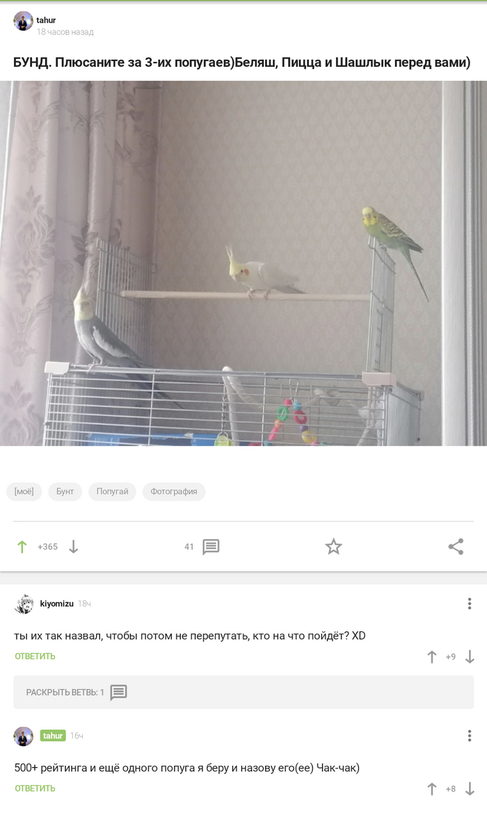 ������� ������� � ��������?