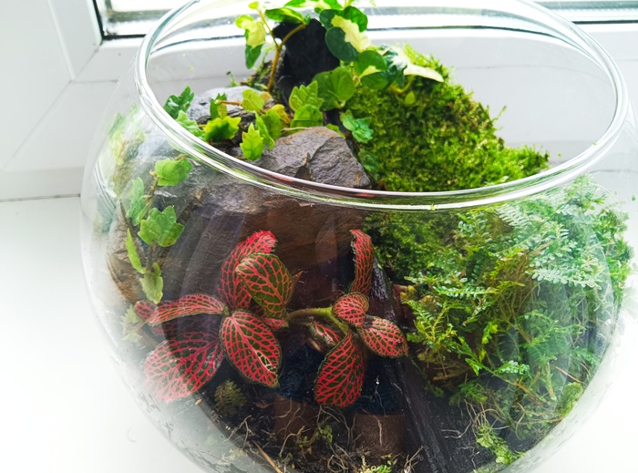 Часть корабля, часть команды... Бунт!