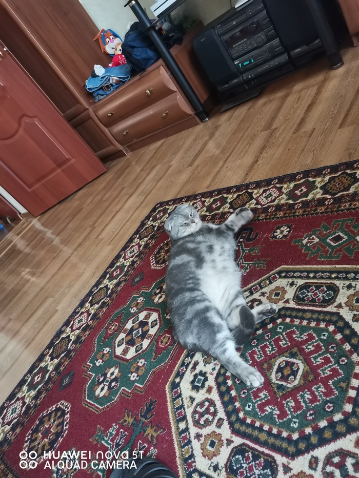 Мы за бунт! И +)))