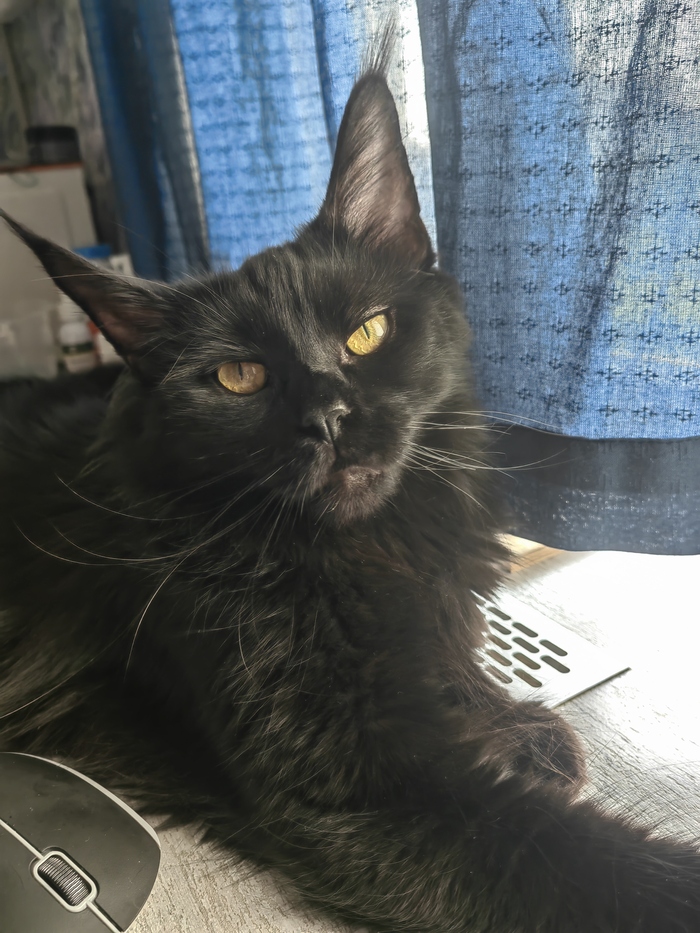 ���� � ��� �������� ���������� ��������, ����� � ������)