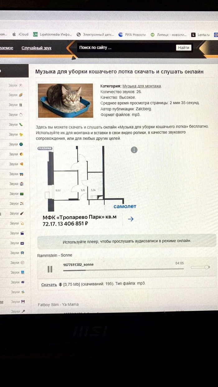 Я нашла фолиант