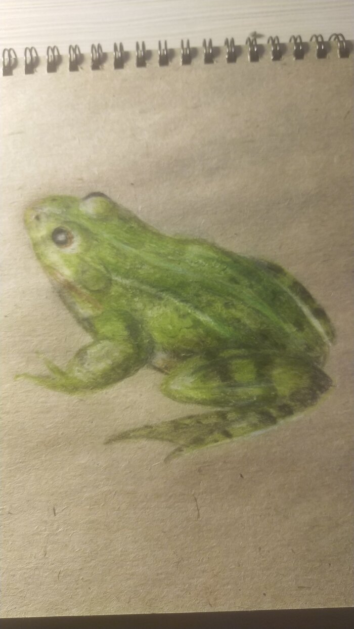   ,   It Is Wednesday My Dudes, , , 