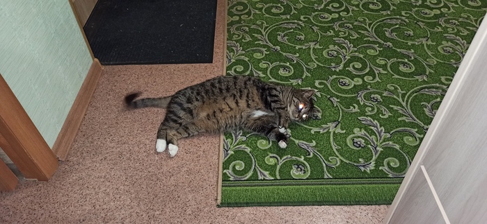 ��� ��� � ���� �������