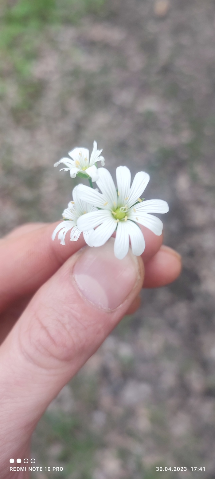  , , , 
