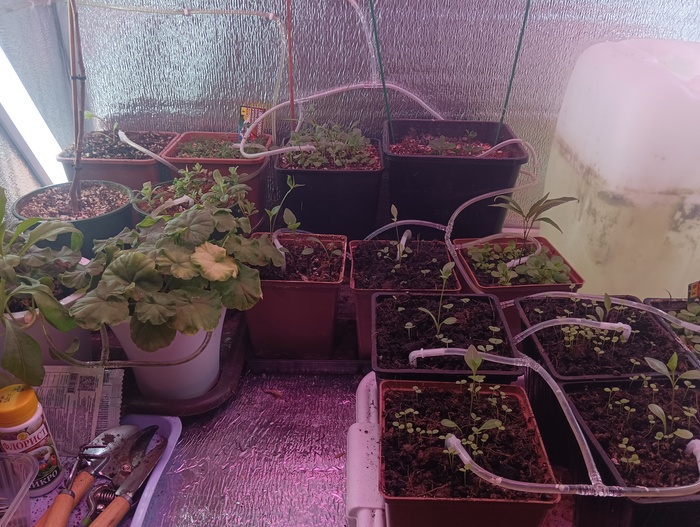 �� ��������