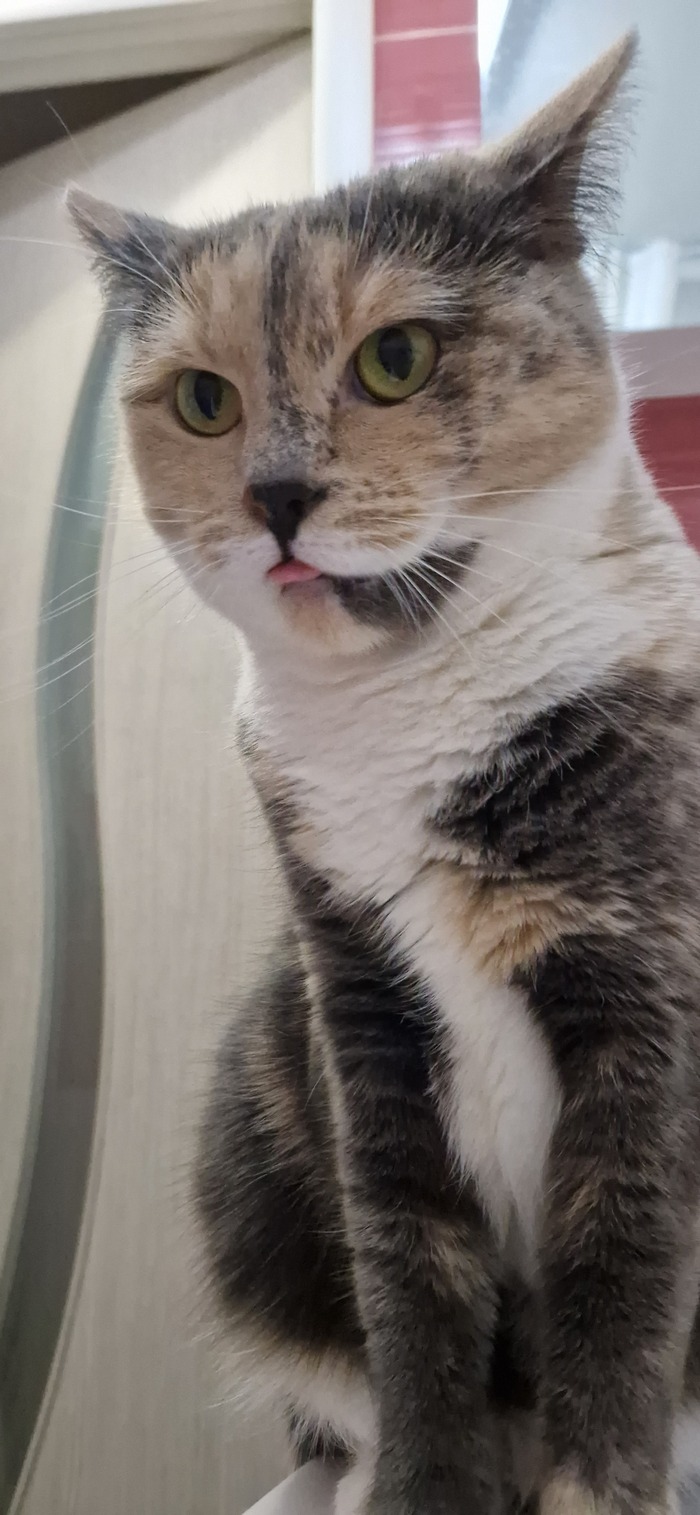 � ��� �� ���� ��?