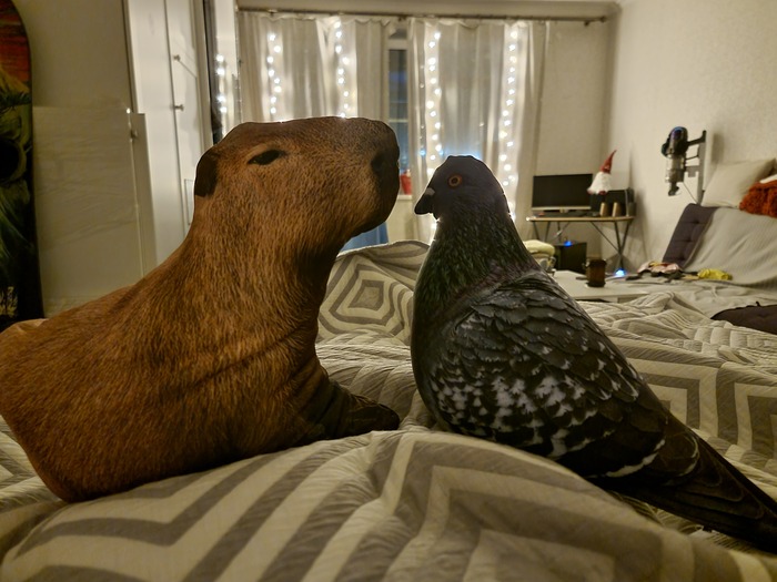 Команда поддержки бундующих